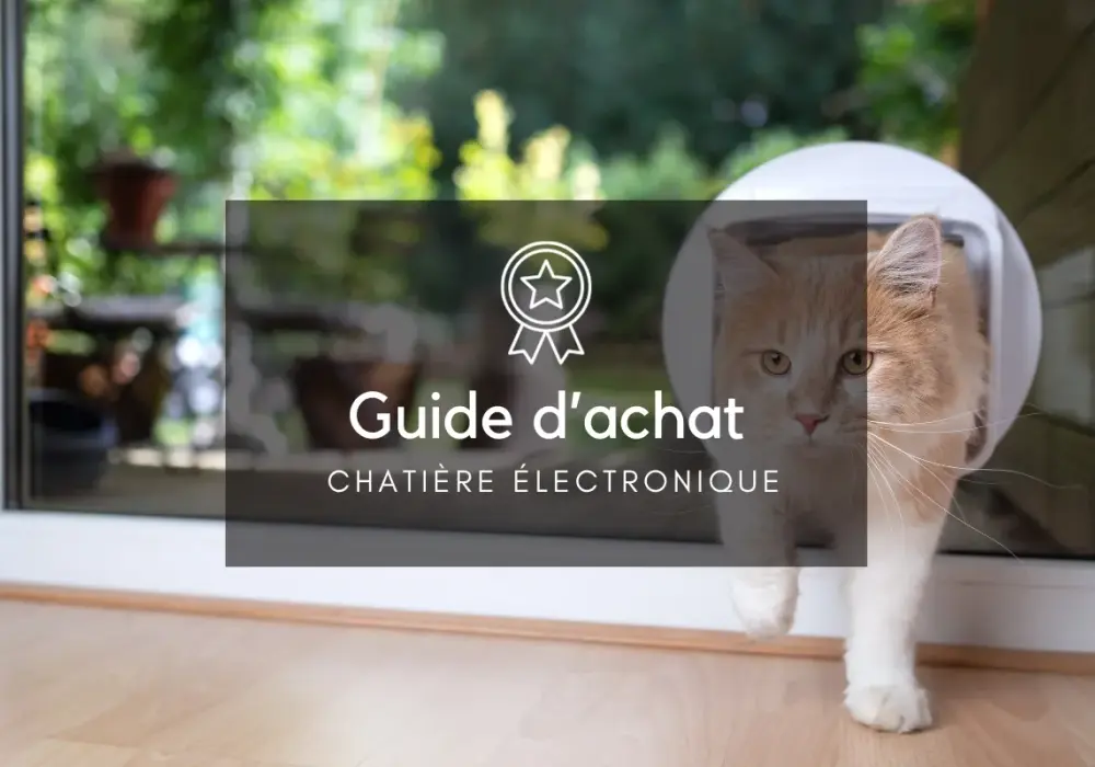 Chatière connectée smartphone : contrôle facile et sécurité pour vos chats