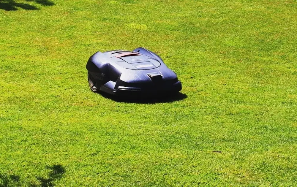 Quel robot tondeuse sans fil périphérique choisir pour un jardin parfait