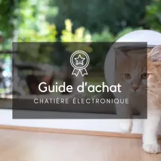 Chatière connectée smartphone : contrôle facile et sécurité pour vos chats